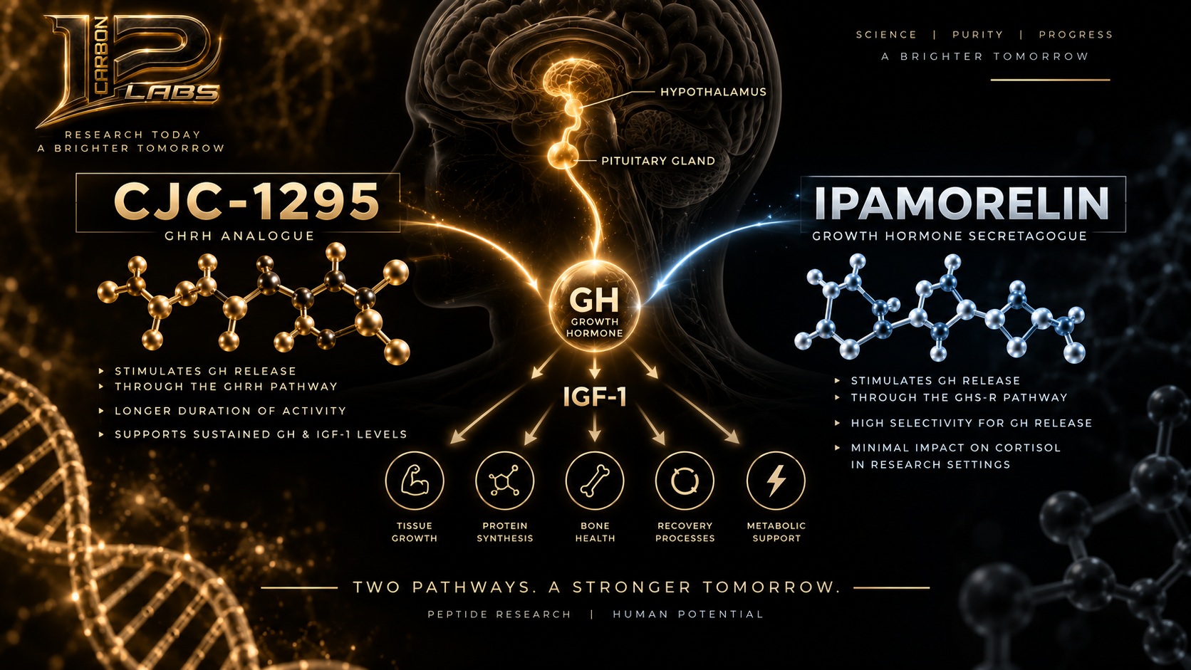 CJC-1295 + Ipamorelin: What’s the Difference and Why Are They Studied Together?