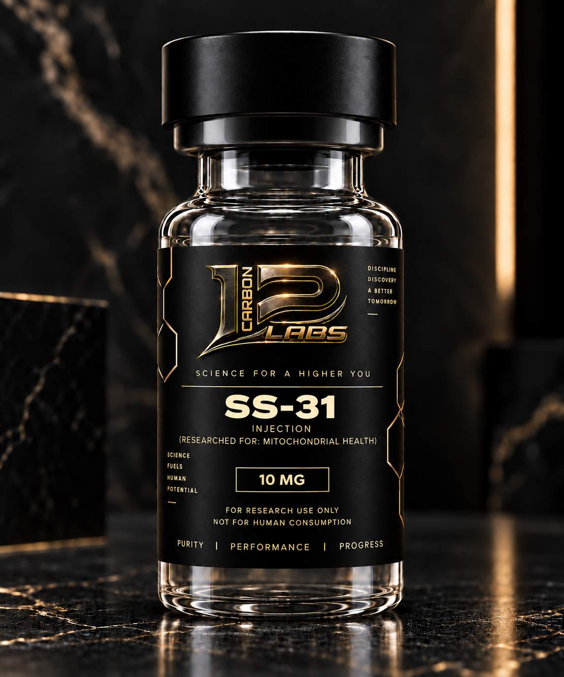 SS-31 