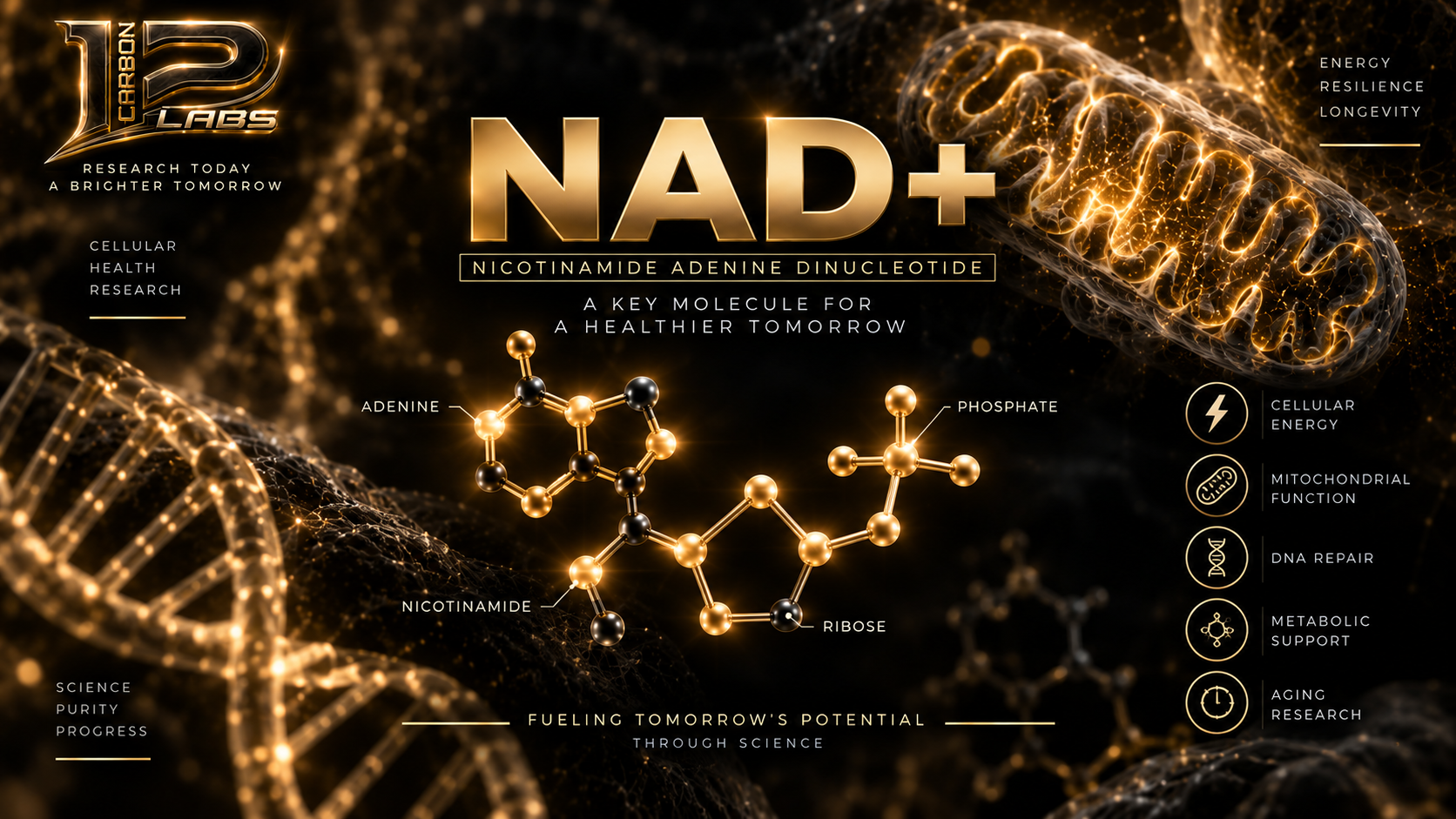 NAD+ Explained: What Is It, What Does It Do, and What Does the Research Actually Show?