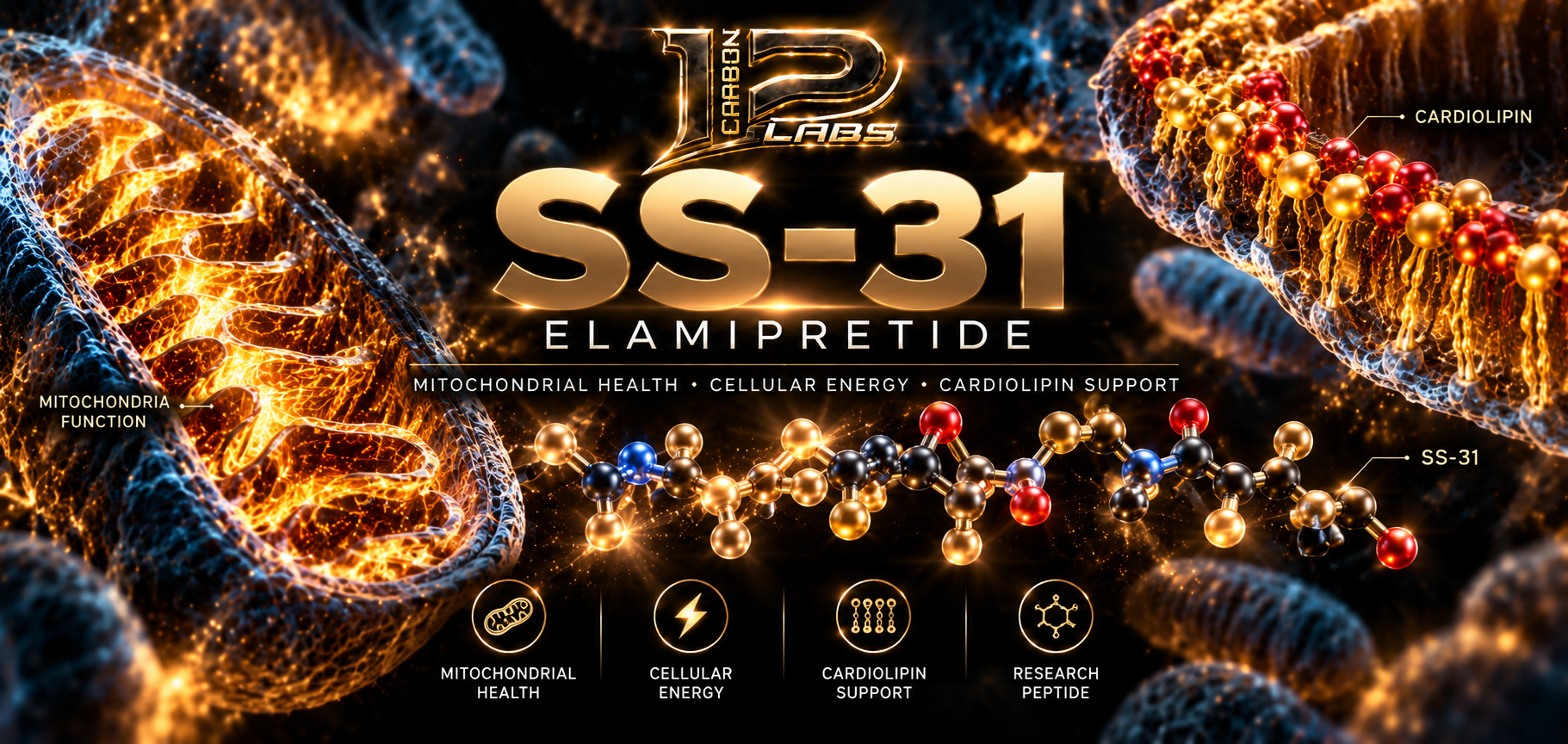 SS-31! What Is It and Why run it before Mots-C.