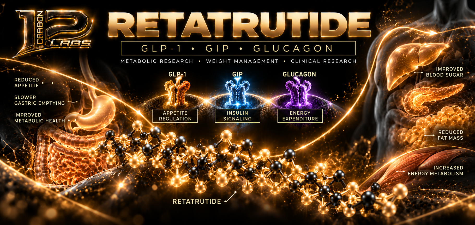 Retatrutide Peptide Explained: What Is It and What Does the Research Show?