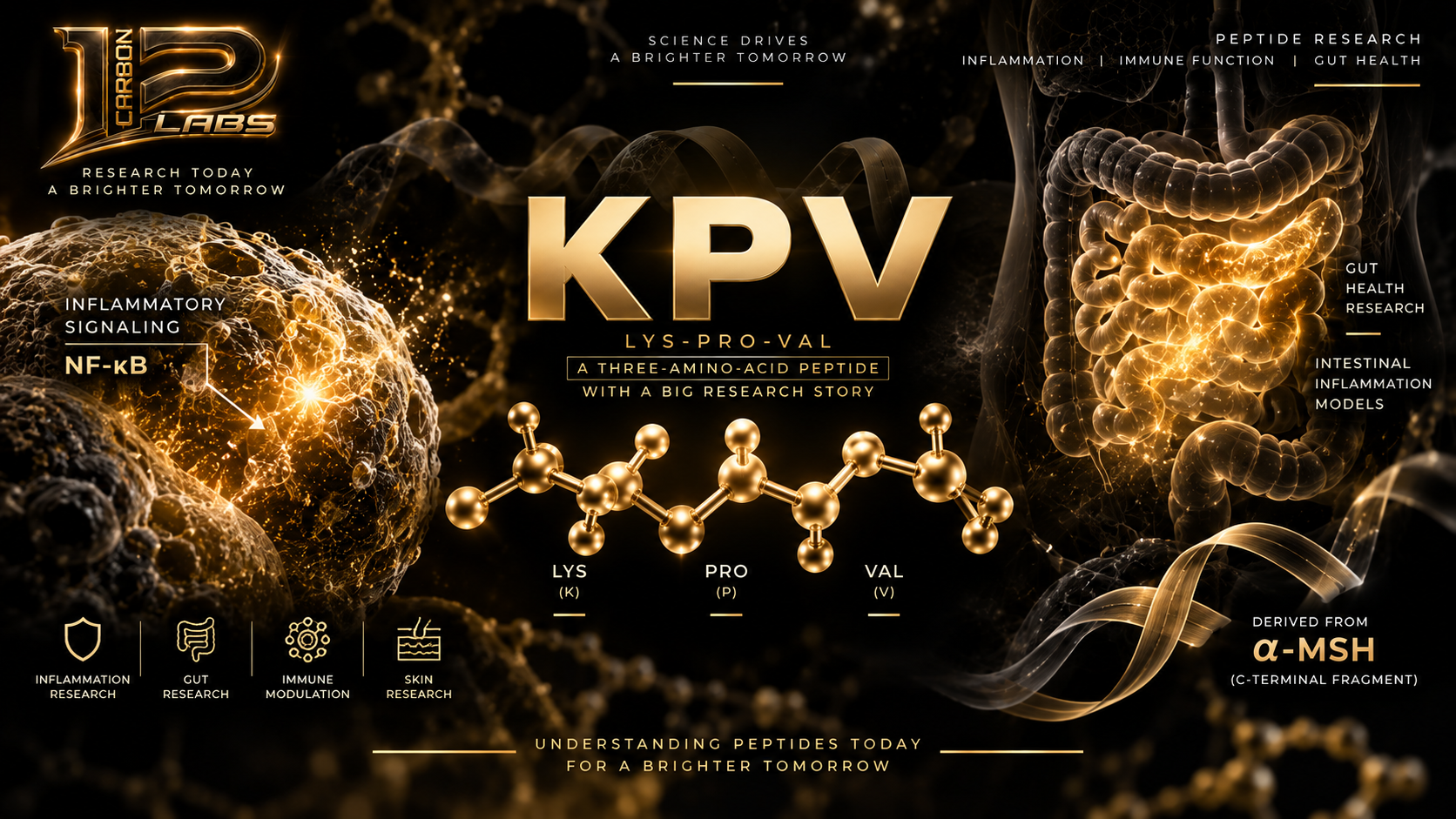 KPV Peptide Explained: What Is It and What Does the Research Actually Show?